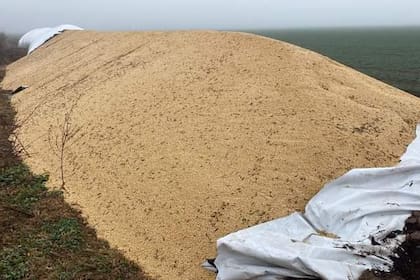 El silobolsa vandalizado en la zona de Casilda. Foto: Twitter