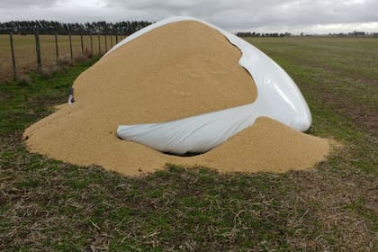 El silobolsas roto por los vándalos para envolver la carne