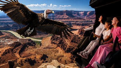 El Simulador Vuelo del Cóndor, diseñado para sobrevolar la geografía argentina adoptando la perspectiva del guardián de las alturas