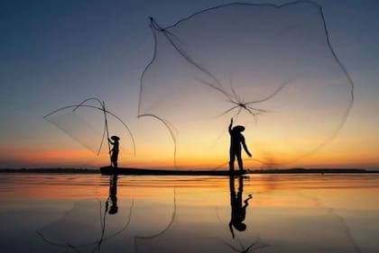 El síndrome de la línea de base cambiante' se propuso por primera vez para describir el declive invisible a largo plazo de los peces.