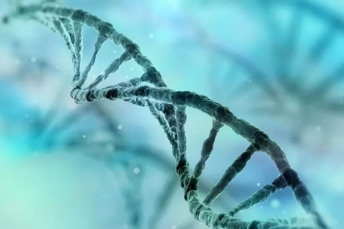 El síndrome vexas es un trastorno inflamatorio que se presenta en adultos y fue descrito por primera vez en 2020