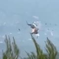 El momento del choque fatal entre dos helicópteros que combatían un incendio forestal en Grecia