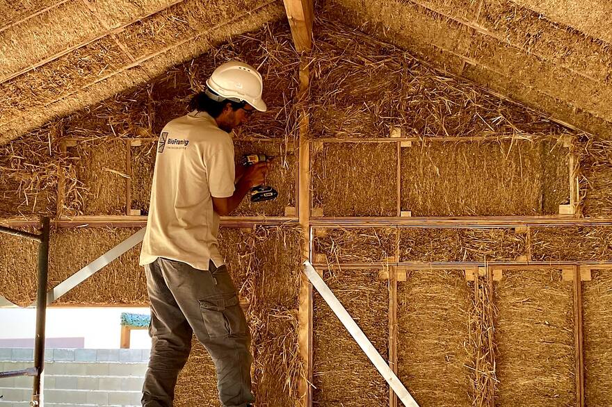 La paja de trigo se vuelve ecológica