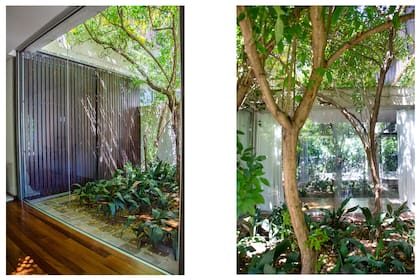 El sistema de patios, a la vista gracias a los ventanales, produce un efecto inmersivo en la vegetación exterior.