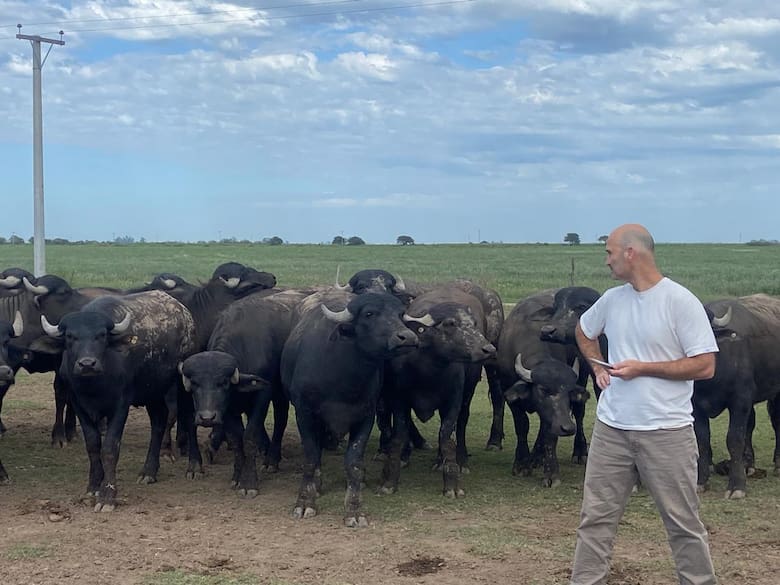 De los granos al mostrador: el sistema que impulsa un nuevo negocio para la carne