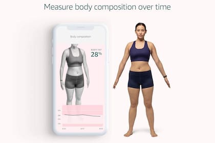 El sistema usa la cámara del celular para determinar la masa corporal de la una persona y recomendar actividades que contribuyan a reducirla