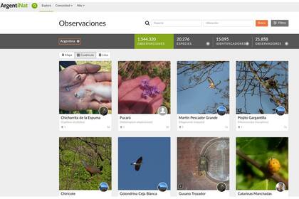 El sitio de ArgentiNat.org