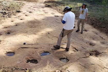 El sitio de huellas de dinosaurios de West Gold Hill en Ouray se descubrió por primera vez en la década de 1950 (Proporcionado por Bruce Schmacher/Servicio Forestal de EE. UU.)