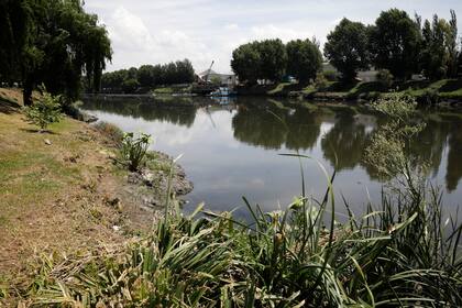 El sitio del hallazgo es a la altura de la calle Carlos Pellegrini al 200, sobre la Ribera Sur del Riachuelo