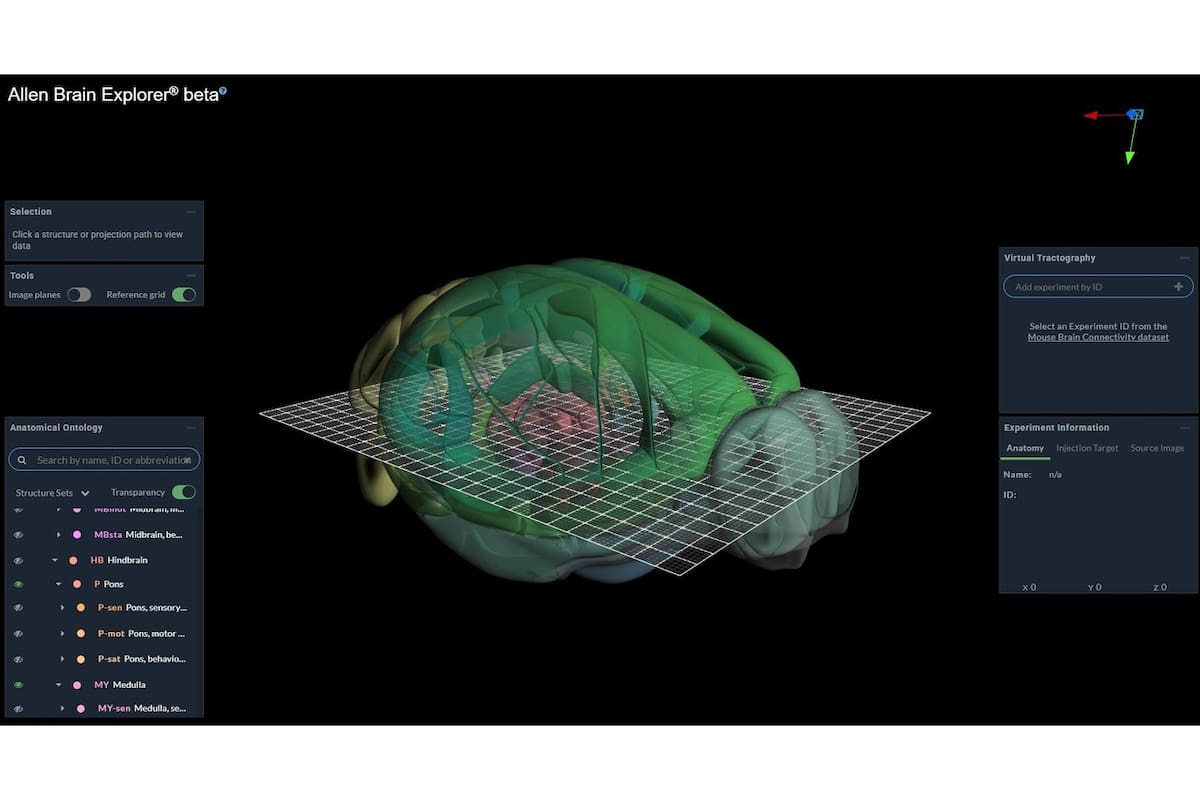 El sitio del Instituto Allen para la Ciencia del Cerebro