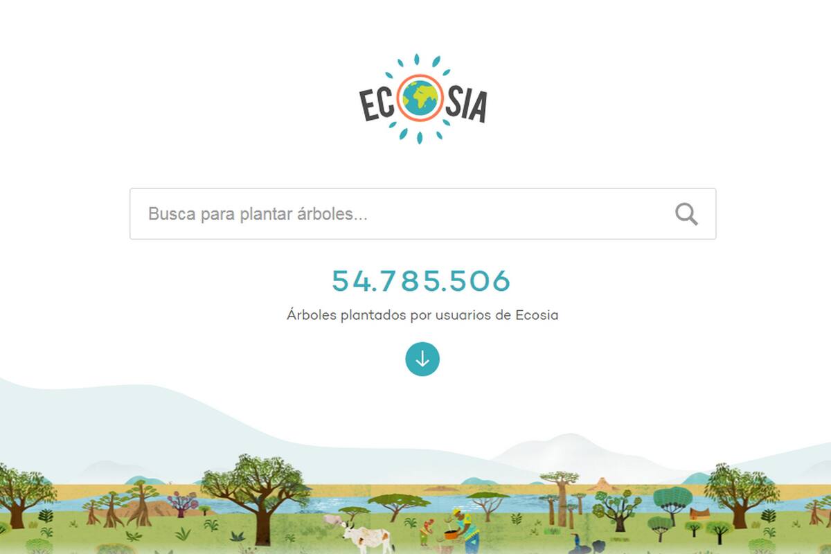 El sitio, que funciona con la tecnología Bing de Microsoft, lleva más de 54 millones de árboles plantados en todo el mundo