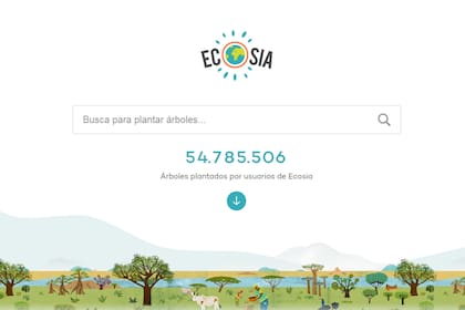 El sitio, que funciona con la tecnología Bing de Microsoft, lleva más de 54 millones de árboles plantados en todo el mundo