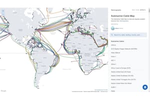 El sitio que muestra los cables submarinos que hacen funcionar Internet