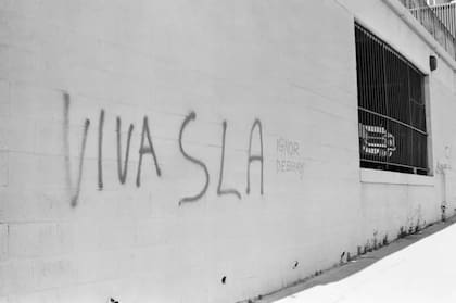 El SLA fue uno de varios grupos revolucionarios que emergieron en EE.UU. en los años 70