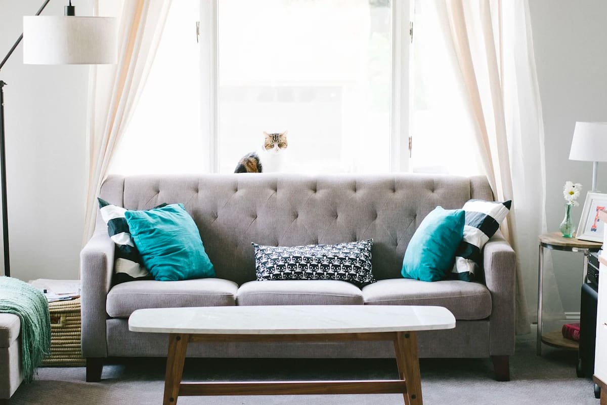 El sofá que una mujer recibió como regalo tenía algo inimaginable: miles de dólares