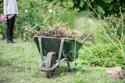 El sol de primavera puede engañar: retirar las coberturas demasiado pronto deja a las plantas expuestas a los últimos fríos