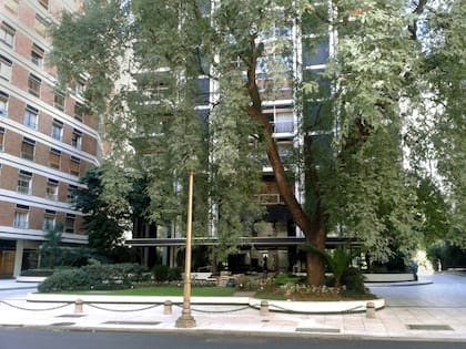 El solar de la residencia en la actualidad.