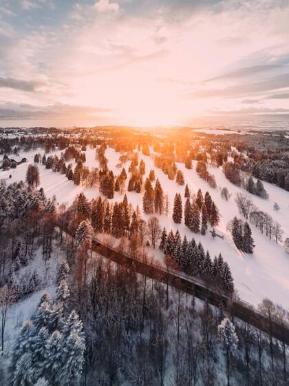 El solsticio de invierno marca el día con menos luz solar del año y el inicio del invierno astronómico (Pexels/Flo Dahm)