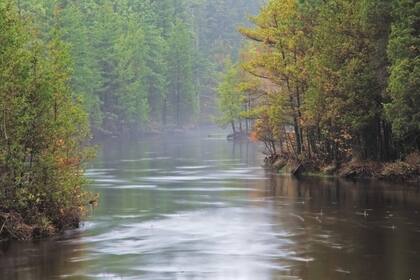 El sonido del agua fluyendo y el canto de los pájaros crean una atmósfera relajante, pero a la vez, misteriosa (Pinelands Preservation Alliance)