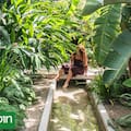 El diseño de estilo tropical que multiplica espacios y experiencias en apenas 280 m²