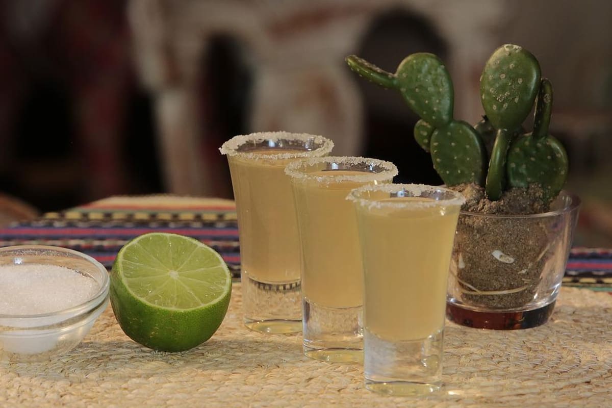 El sotol se convirtió en un tema de disputa entre mexicanos y estadounidenses