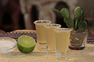 El sotol se convirtió en un tema de disputa entre mexicanos y estadounidenses