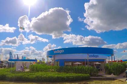El stand de Indigo en Expoagro, con 1200 metros cuadrados donde se exhibieron tres cultivos: soja, maíz y algodón