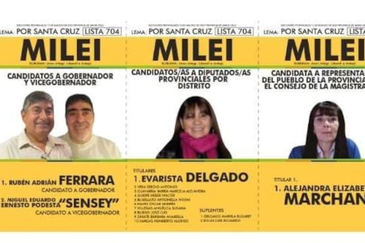 El sublema MILEI en Santa Cruz