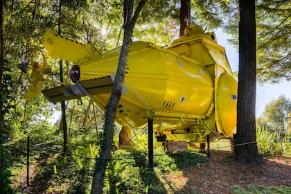 El submarino se colocó entre dos troncos en una zona de secuoyas
