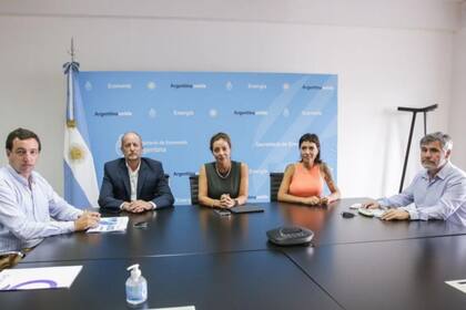 El subsecretario de Energía, Yanotti, el jefe de Gabinete de Kicillof, Insaurralde, la secretaria de Energía, Flavia Royón, la intendenta de Quilmes, Mayra Mendoza y el interventor del Enre, Walter Martello