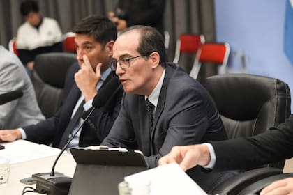 El subsecretario de Hidrocarburos, Federico Veller, reconoció que el Gobierno aceptó modificaciones que no comparte, entre ellas la ampliación de tres a diez años del período de transición para las empresas de biodiésel, para lograr consensos
