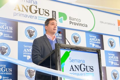 El subsecretario de Producción Agropecuaria y Forestal, Manuel Chiappe