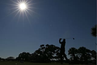 Golf de locos, con un águila de 206 yardas y la pelota incrustada en un árbol
