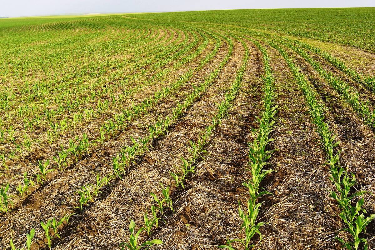 El suelo, otro eje del congreso de Aapresid