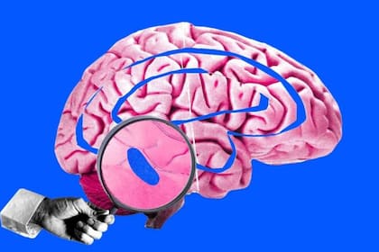 El sueño es un importante objeto de estudio para los científicos.