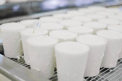 El suero de leche es otra opción efectiva para ganar masa muscular (imagen ilustrativa)