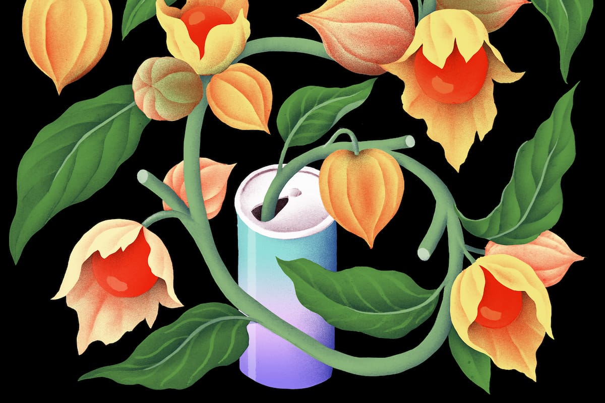 El suplemento Ashwagandha es milenario, sin embargo, su consumo se popularizó en los últimos años como una alternativa natural para disminuir el estrés y combatir el insomnio