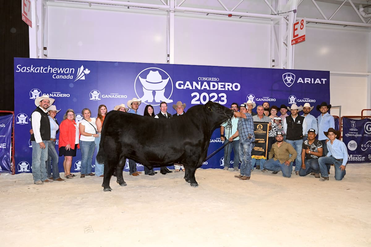 El Supremo Gran Campeón y Gran Campeón Macho