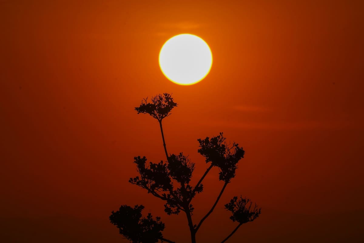 El sur de Florida enfrenta una ola de calor récord para esta época del año (Foto AP/Marco Ugarte)