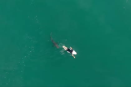 El surfer australiano Matt Wilkinson estuvo a punto de ser atacado por un tiburón y se salvó por la alerta de un drone
