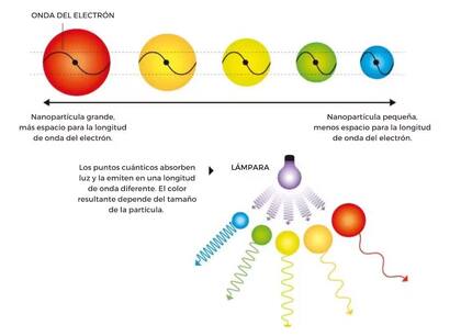 El tamaño de la nanopartícula define el color que emite; con esos puntos se generan las imágenes, con mayor definición y control de color que los paneles convencionales