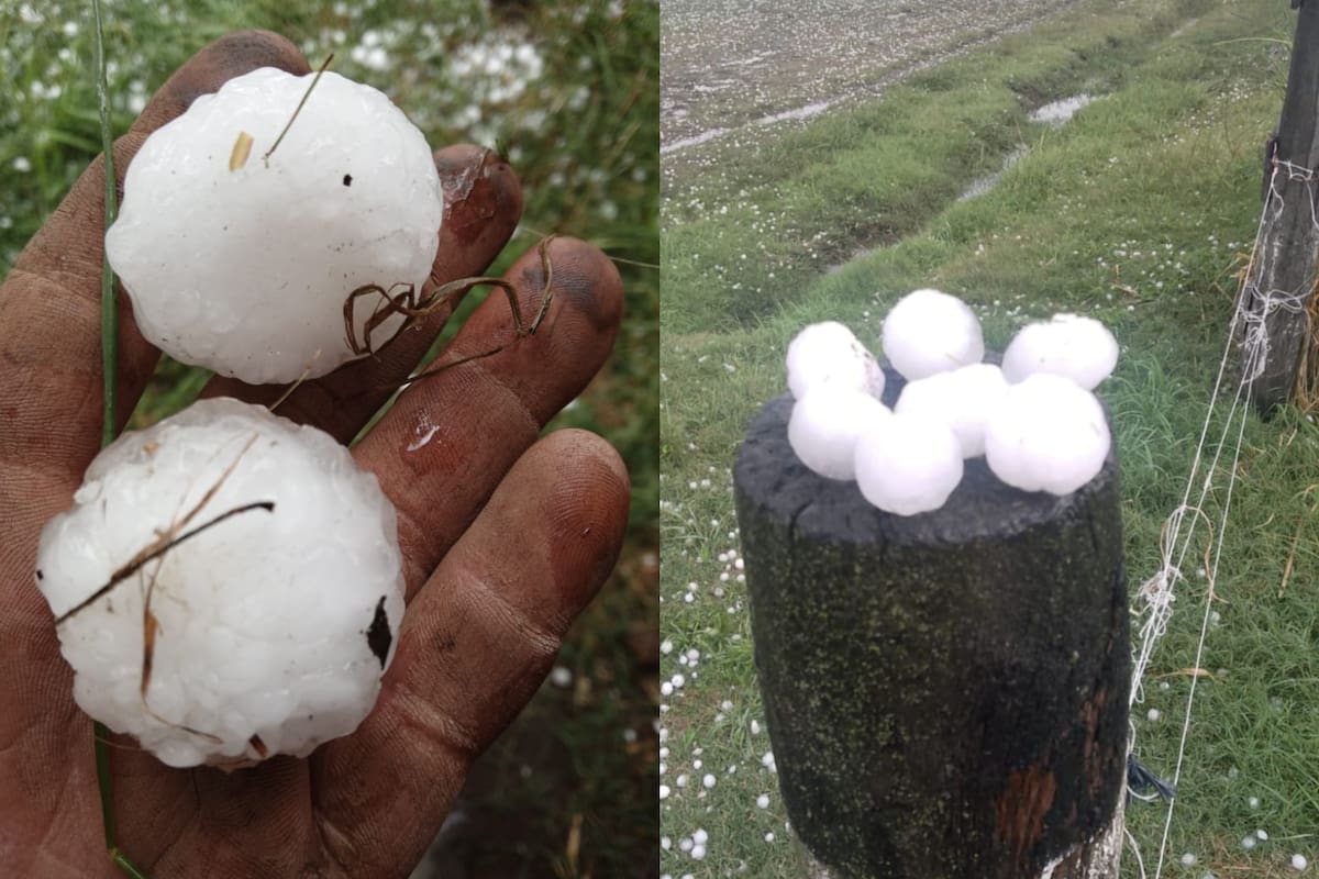 El tamaño de las piedras que cayeron en Roberts, provincia de Buenos Aires