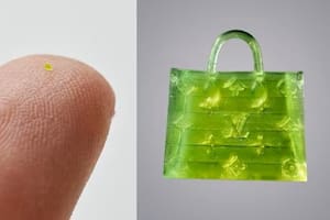 El tamaño diminuto de la cartera