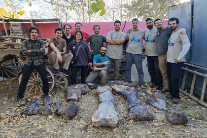 El tamaño y peso de los huesos de las extremidades sorprendió al equipo de paleontólogos que halló al nuevo dinosaurio