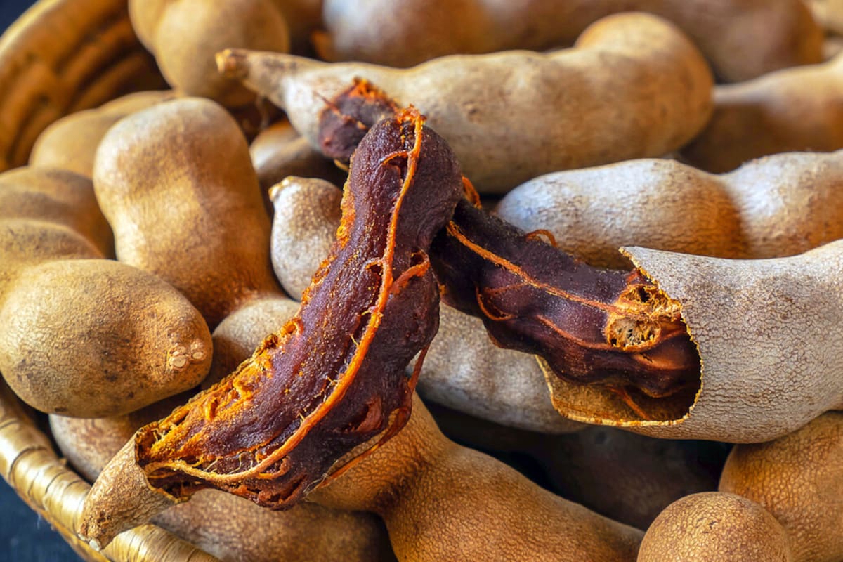 El tamarindo cuenta con un perfil nutricional completo y un sabor inconfundible se consolidó como un ingrediente clave en la cocina y un complemento en la medicina natural