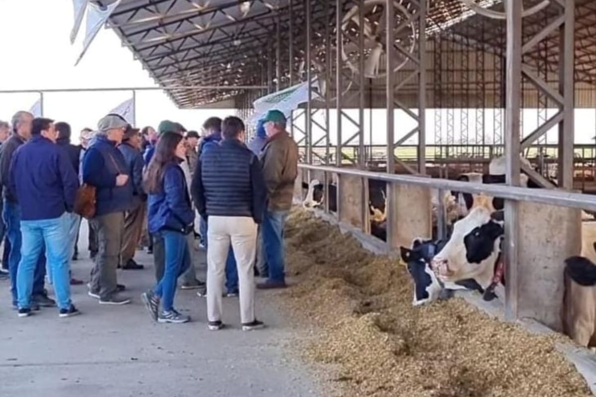 El tambo robot que reunió a técnicos y productores