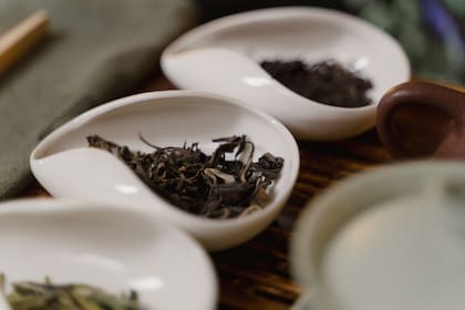 El té blanco destaca como una opción poco conocida, pero con propiedades superiores para el cuidado de la dermis