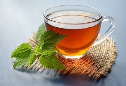 El té de boldo no solo ayuda para la digestión