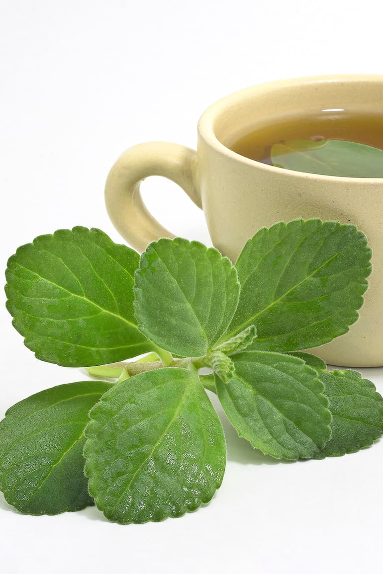 El té de boldo tiene propiedades hepatoprotectoras y antioxidantes que facilitan la digestión