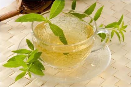 El té de cedrón y sus beneficios para la salud